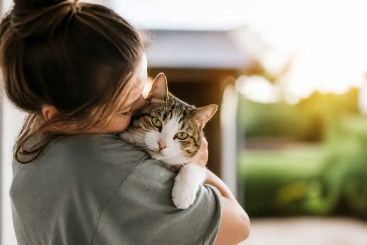 Illustration d'un chat retrouvé grâce à une alerte locale et à l'entraide du voisinage